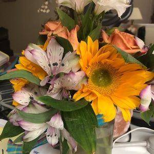 Meet your Posher, Alma cristina